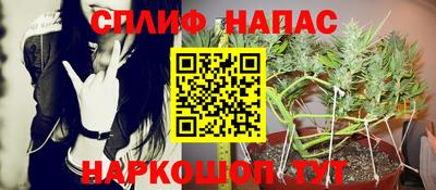 сатива Кандалакша