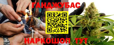 прущие крисы Камышлов