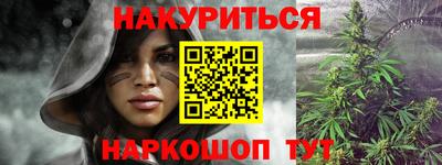 сатива Кандалакша