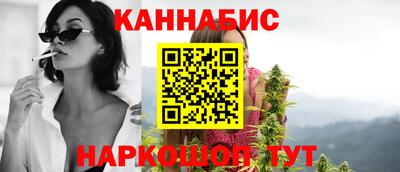 сатива Кандалакша