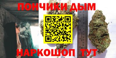 прущие крисы Камышлов