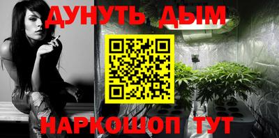 прущие крисы Камышлов