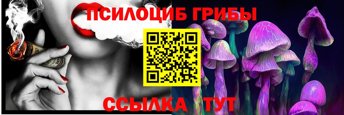 Кулебаки  Псилоцибиновые грибы ЛСД  Псилоцибиновые грибы Psilocybe  Вход с VPN 